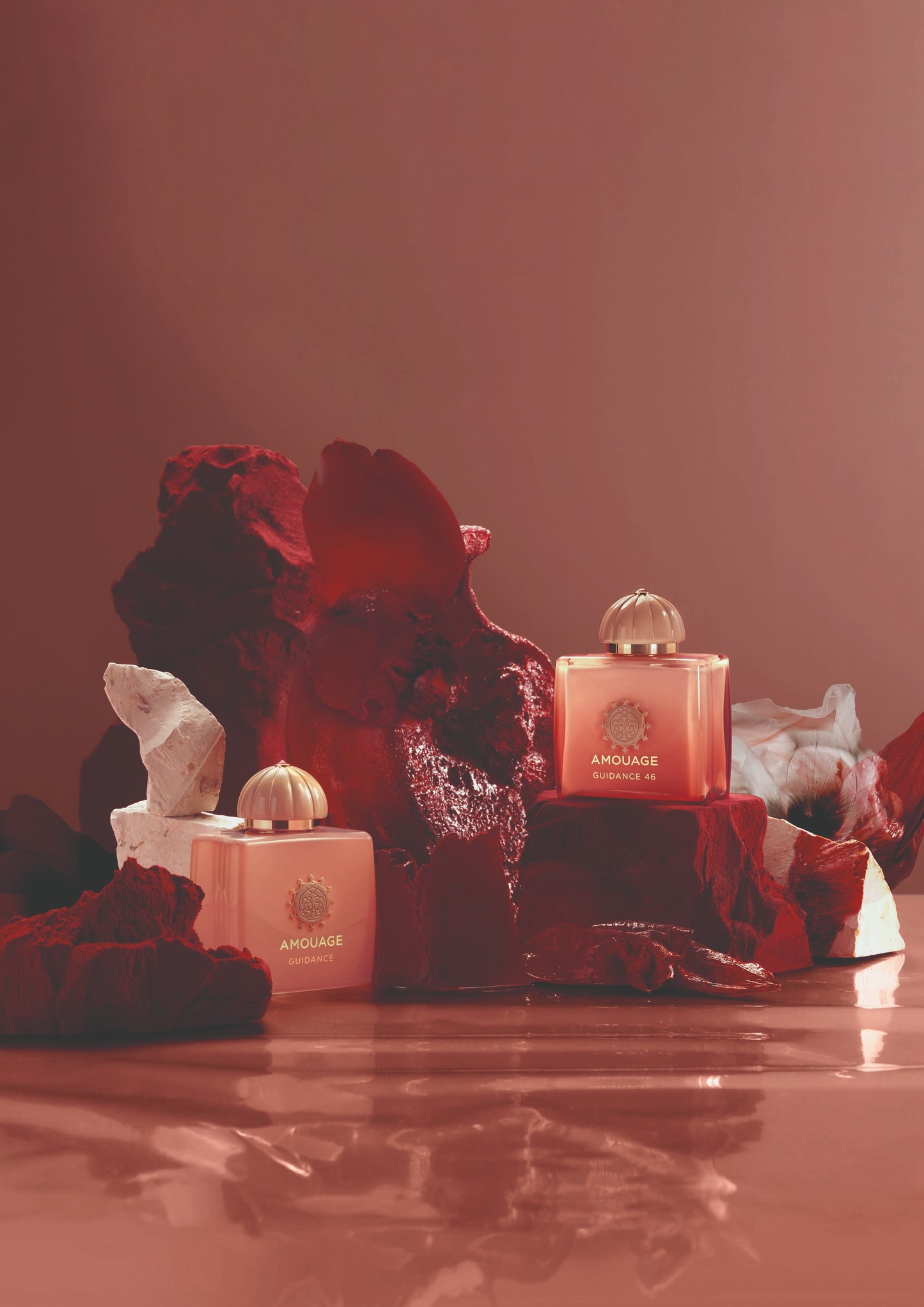 New | Guidance - The Petite Edit