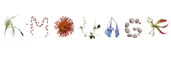 The House of Amouage