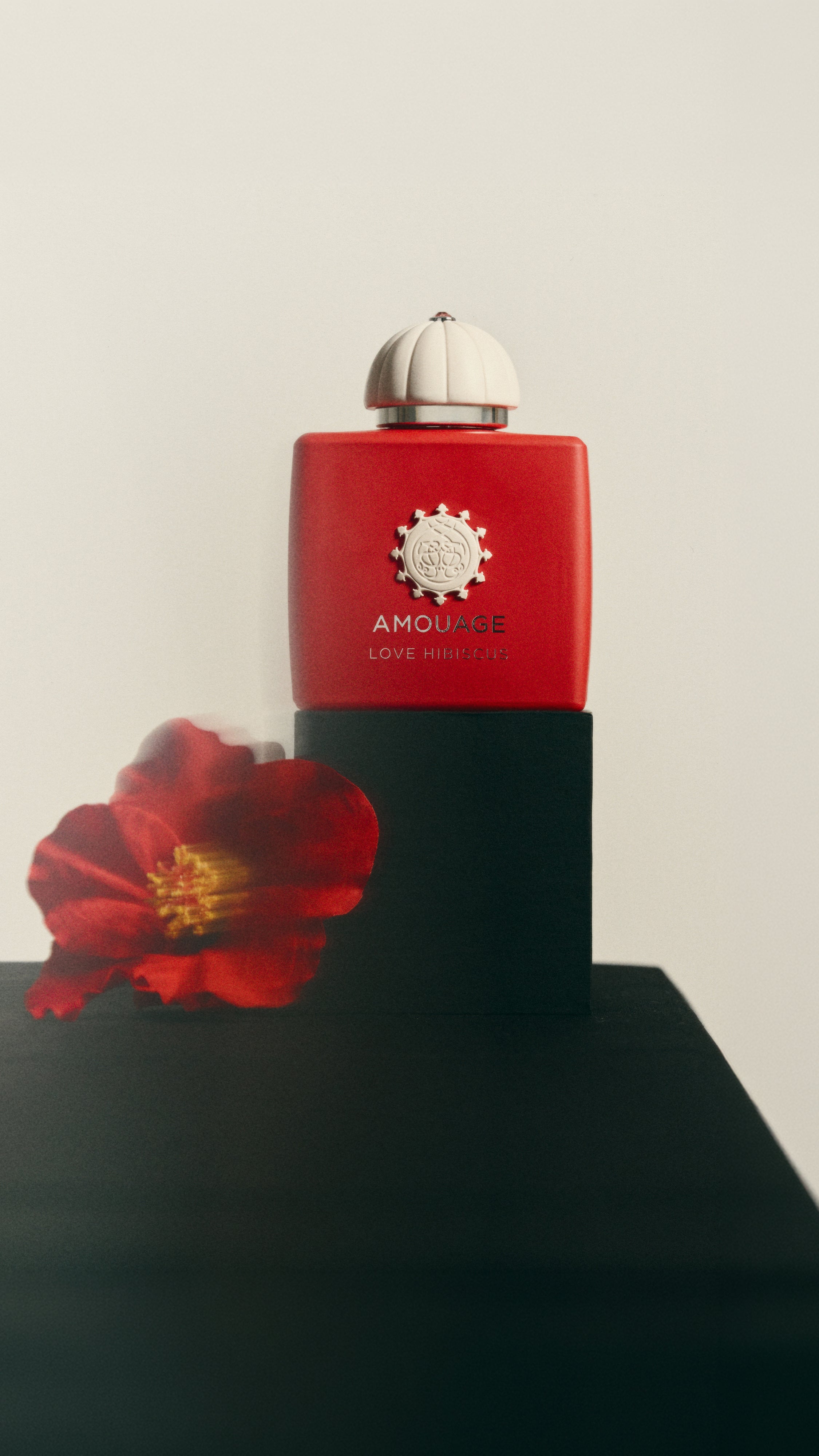 New - Love Hibiscus