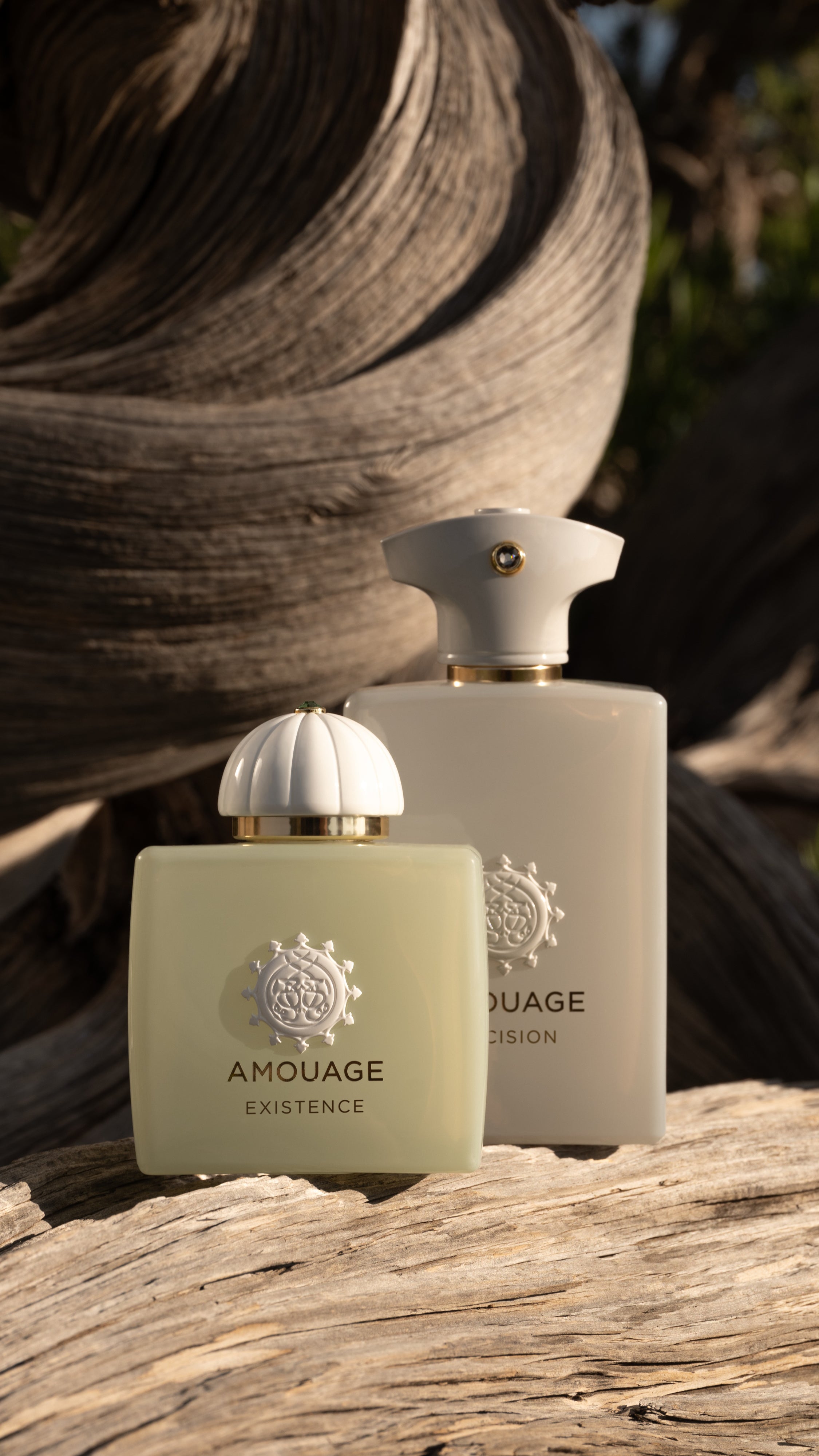 Decision & existence