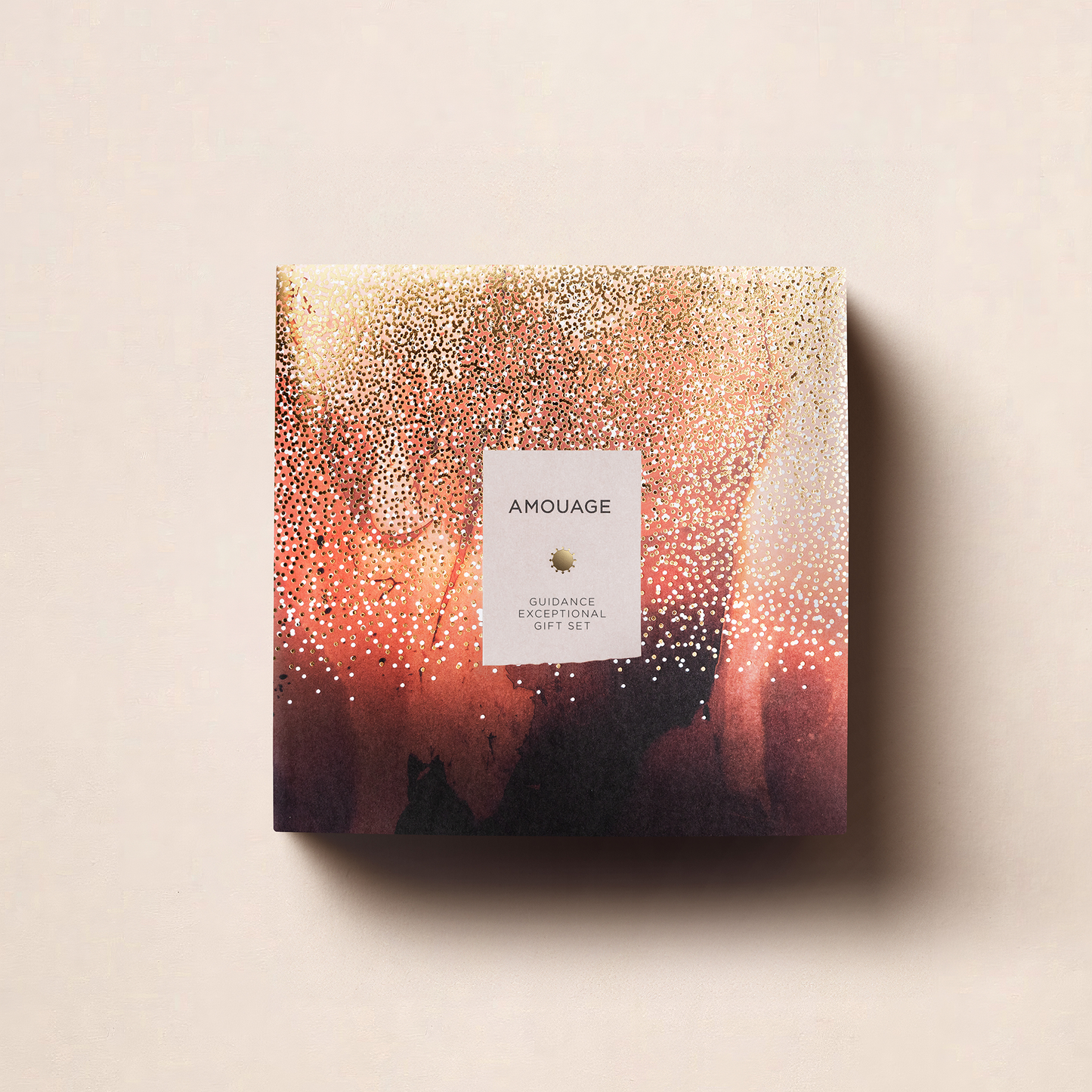 Guidance Exceptional Gift Set