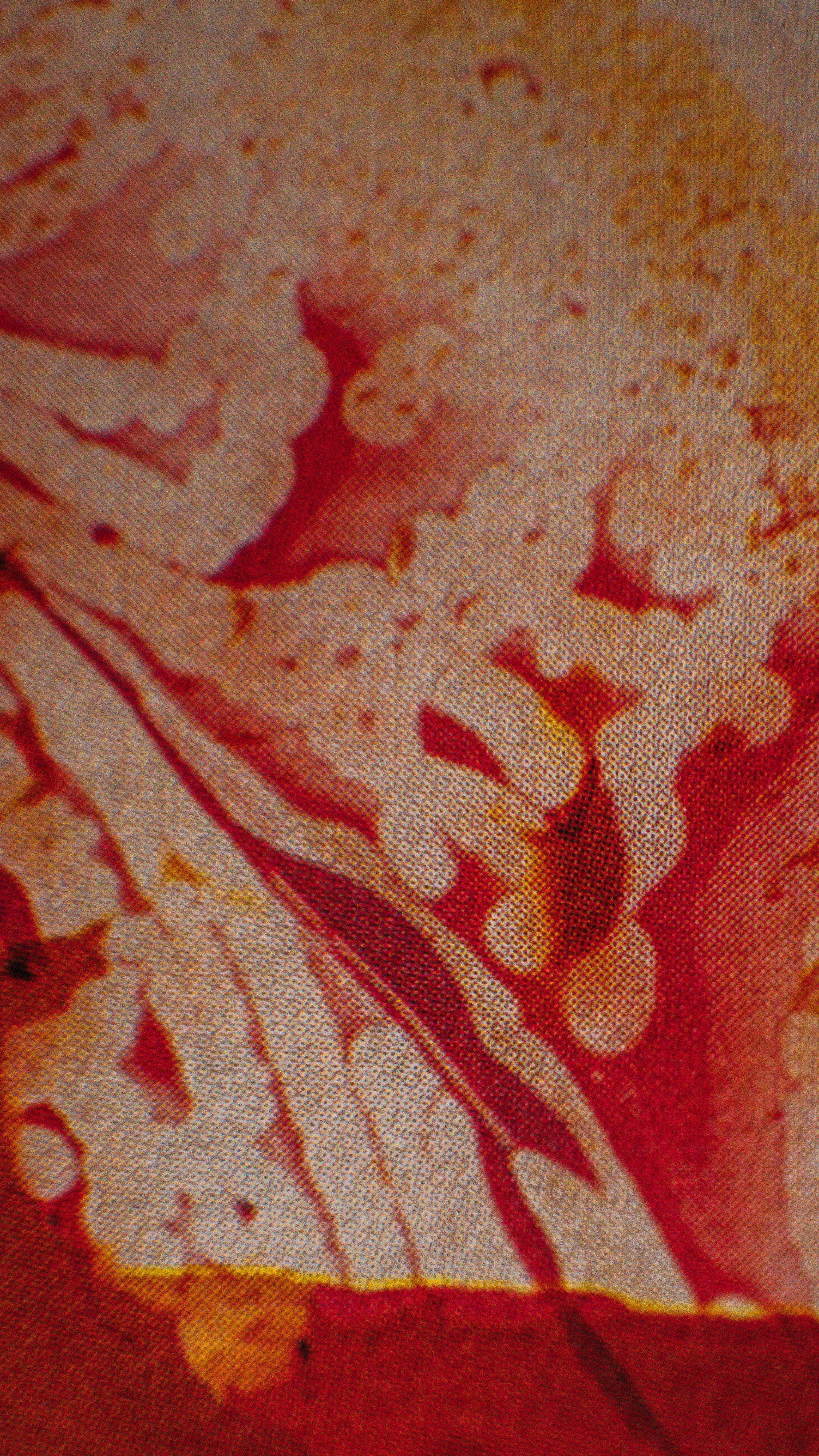 A new flower is blooming...