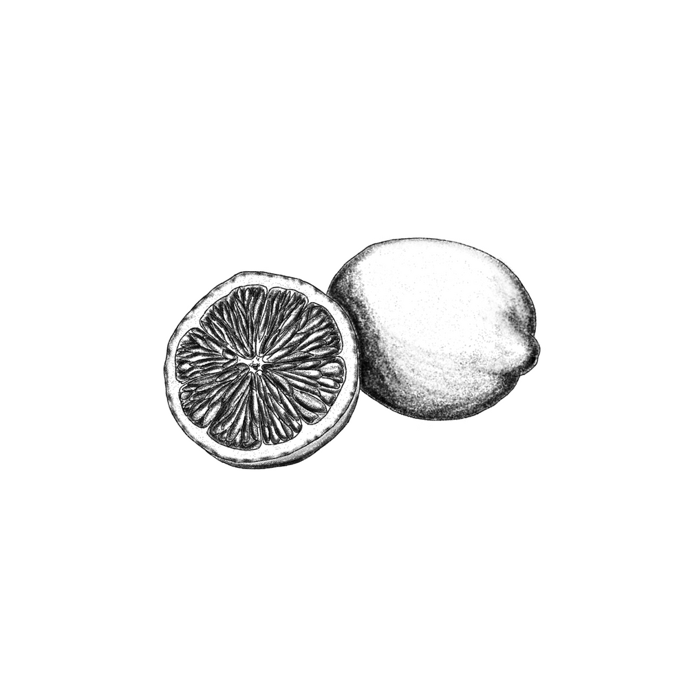 Outlands – The House of Amouage